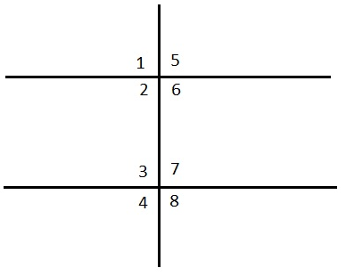 Texas Go Math Grade 8 Lesson 7.1 Answer Key 19