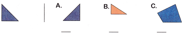 McGraw Hill Math Grade 3 Chapter 11 Lesson 5 Answer Key Congruent Shapes 2