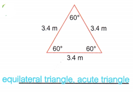 McGraw Hill Math Grade 5 Chapter 10 Lesson 3 Answer Key Classifying Triangles 8